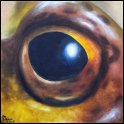 Augenblick eines kleinasiatischen Laubfrosches; Acryl auf Leinwand;
30 x 30 cm